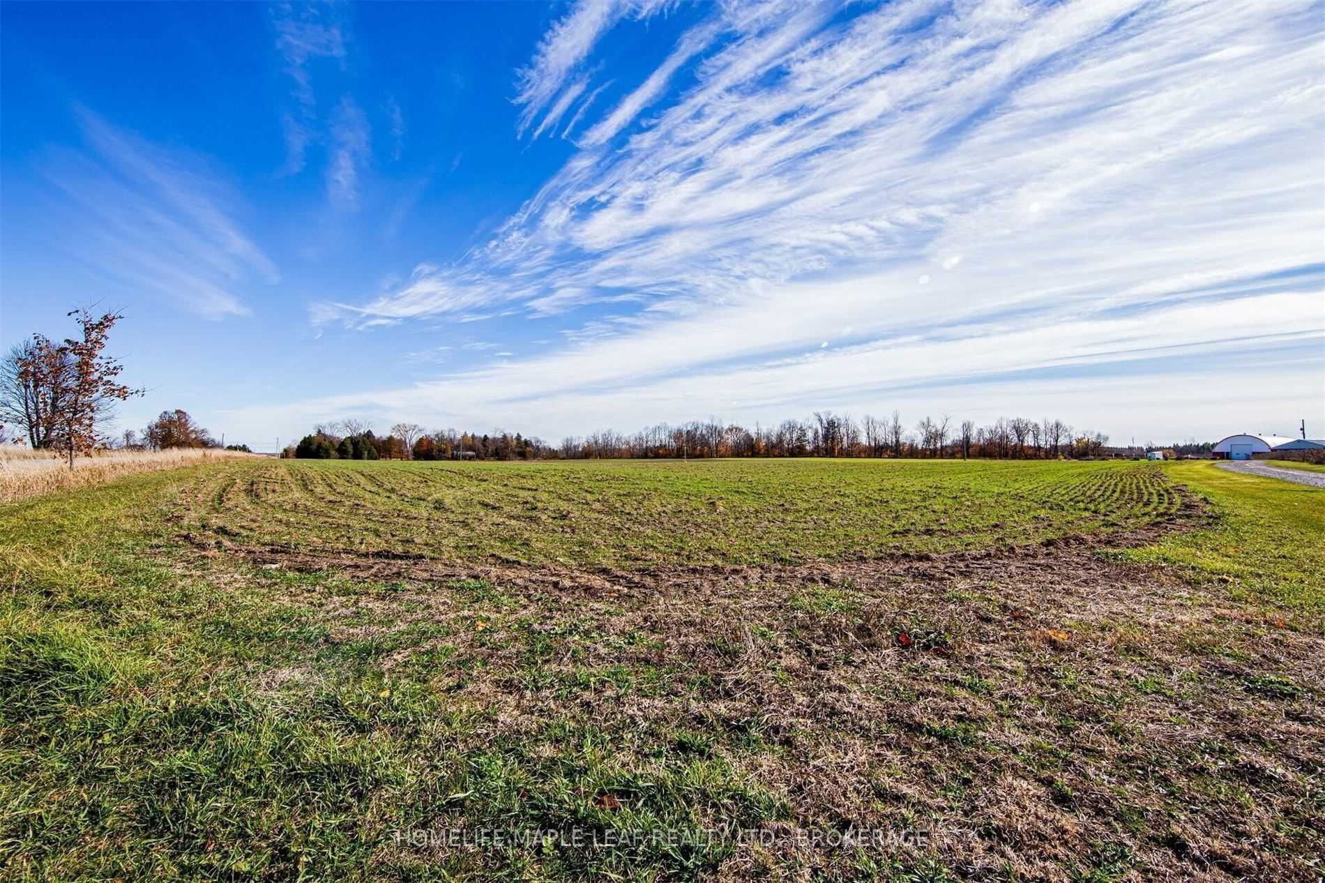 Listing X6056305 - Large Photo # 20