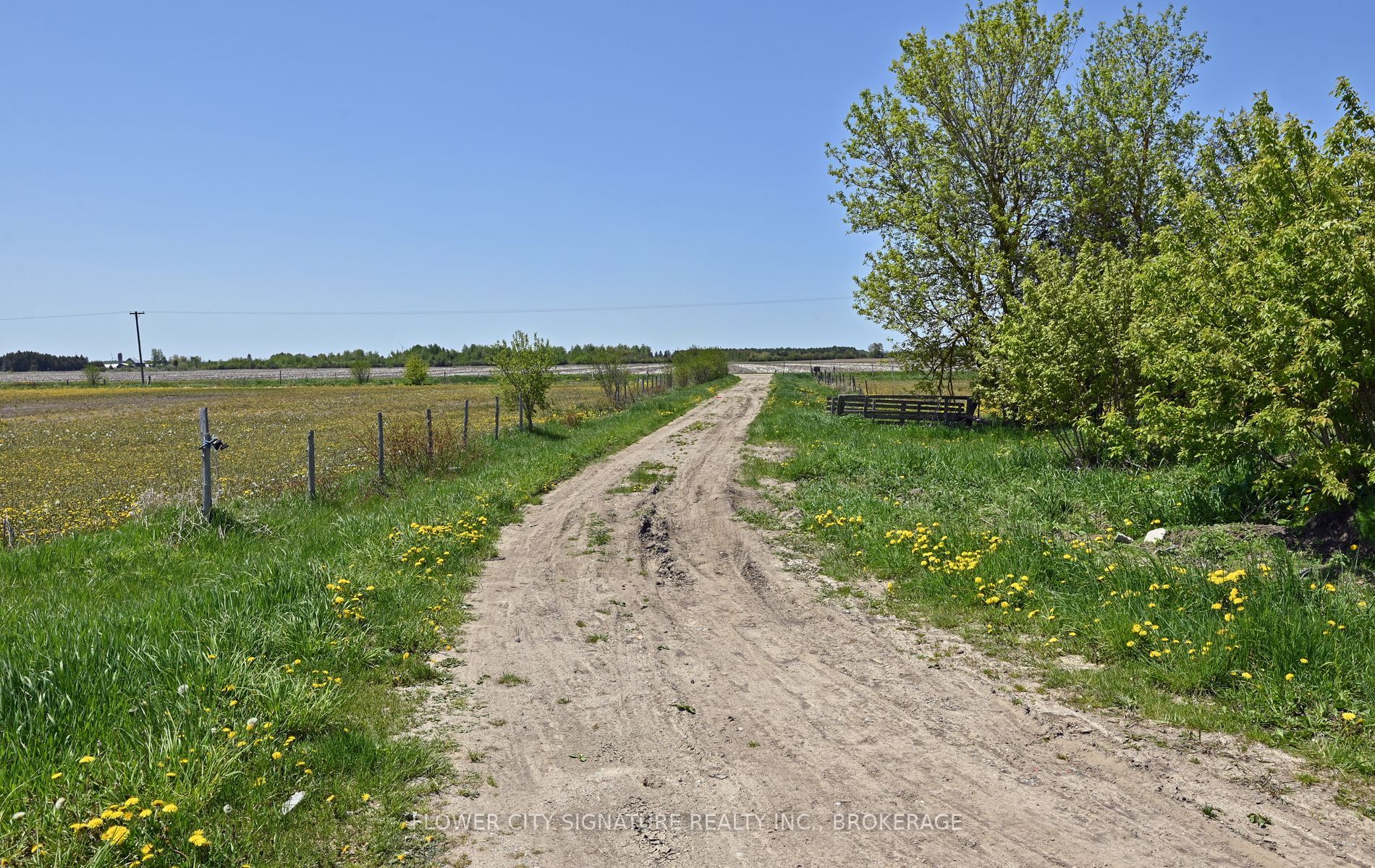 375077 6th Line