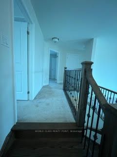 1104 Rippingale Tr
