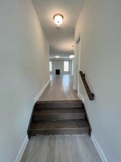 1104 Rippingale Tr