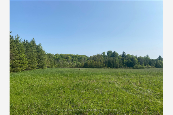 Pt Lt18 County Rd 29, Alnwick/Haldimand