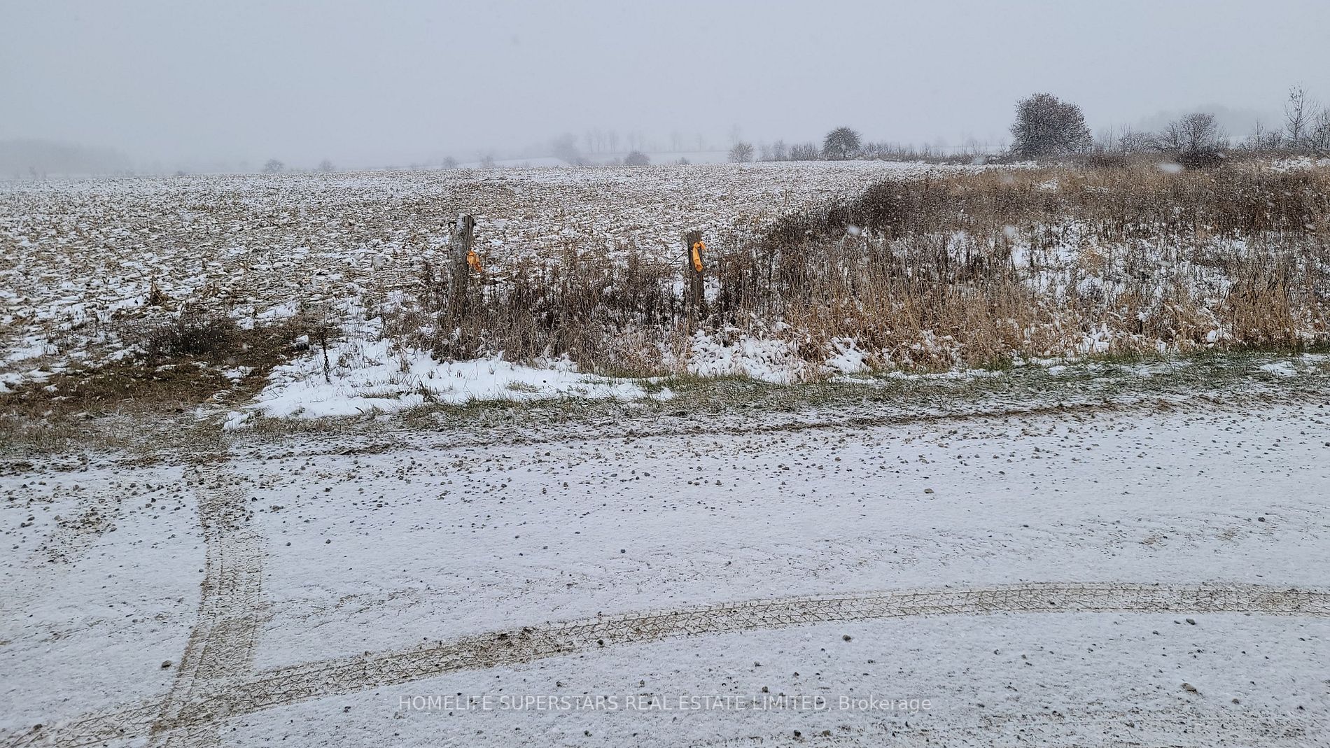 214131 10th Line