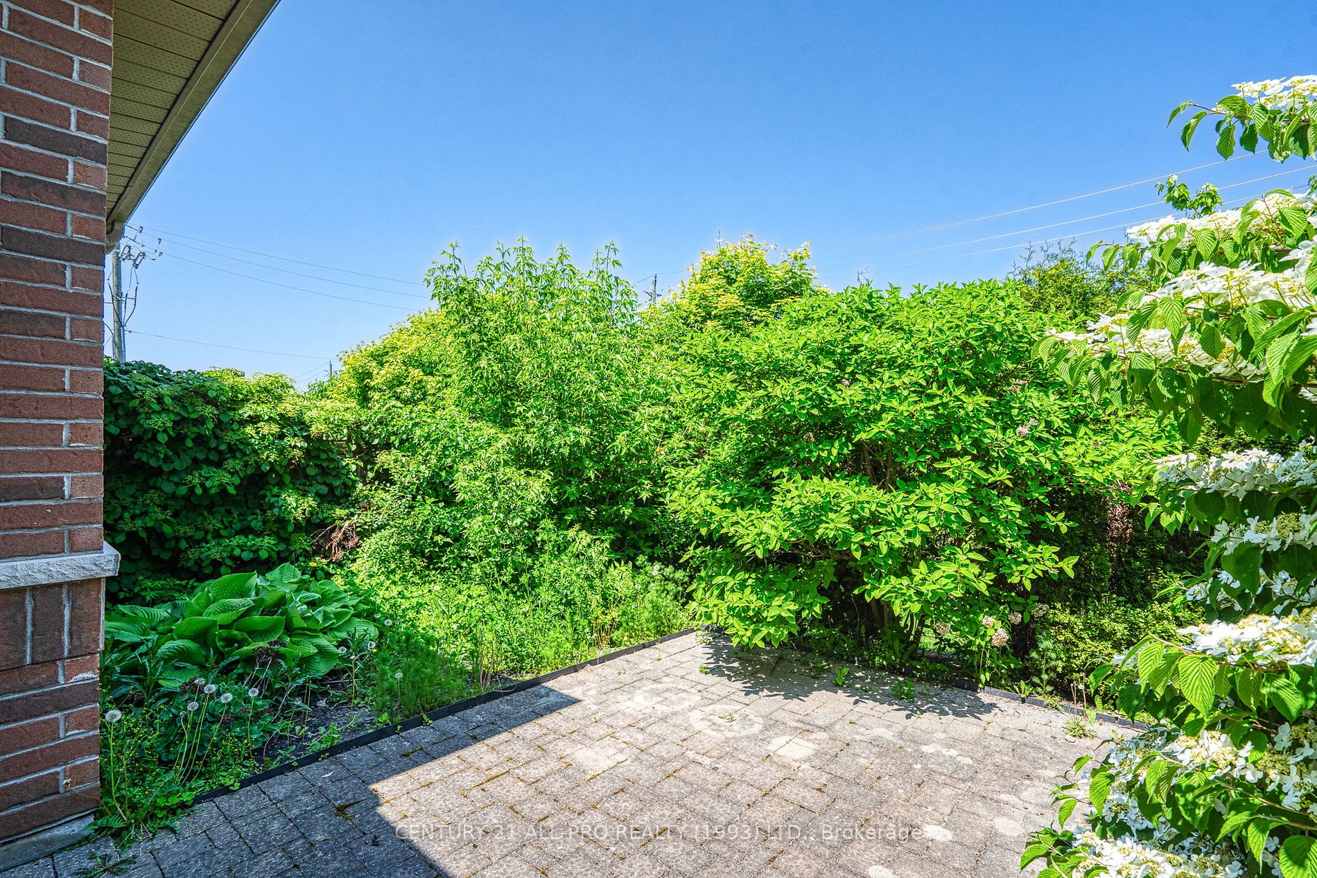 120 University Ave E, #1004