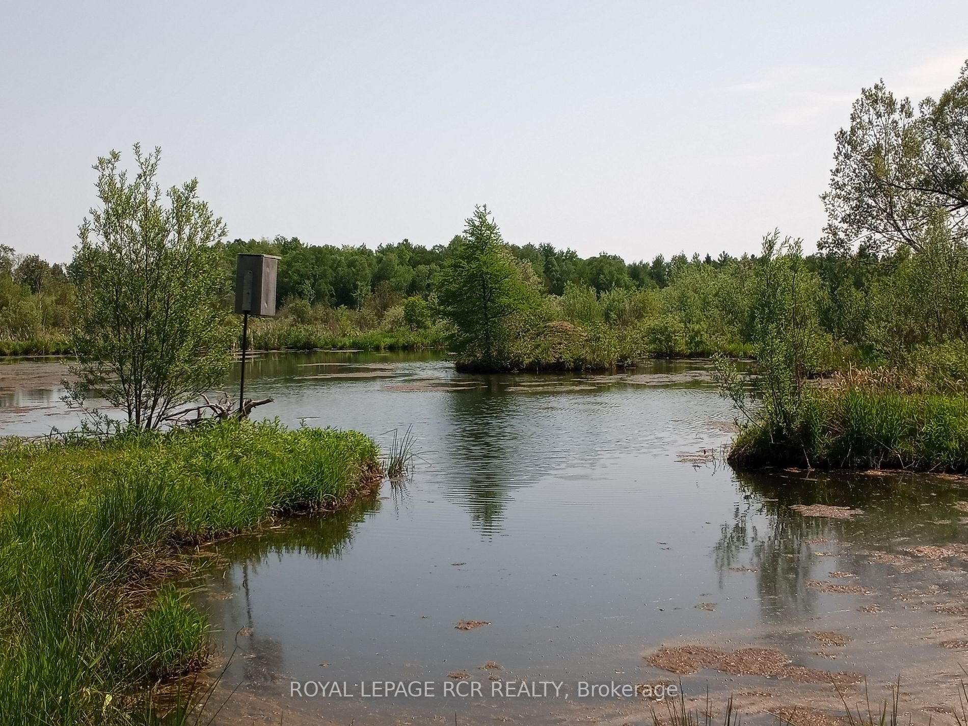 Listing X6090224 - Large Photo # 4