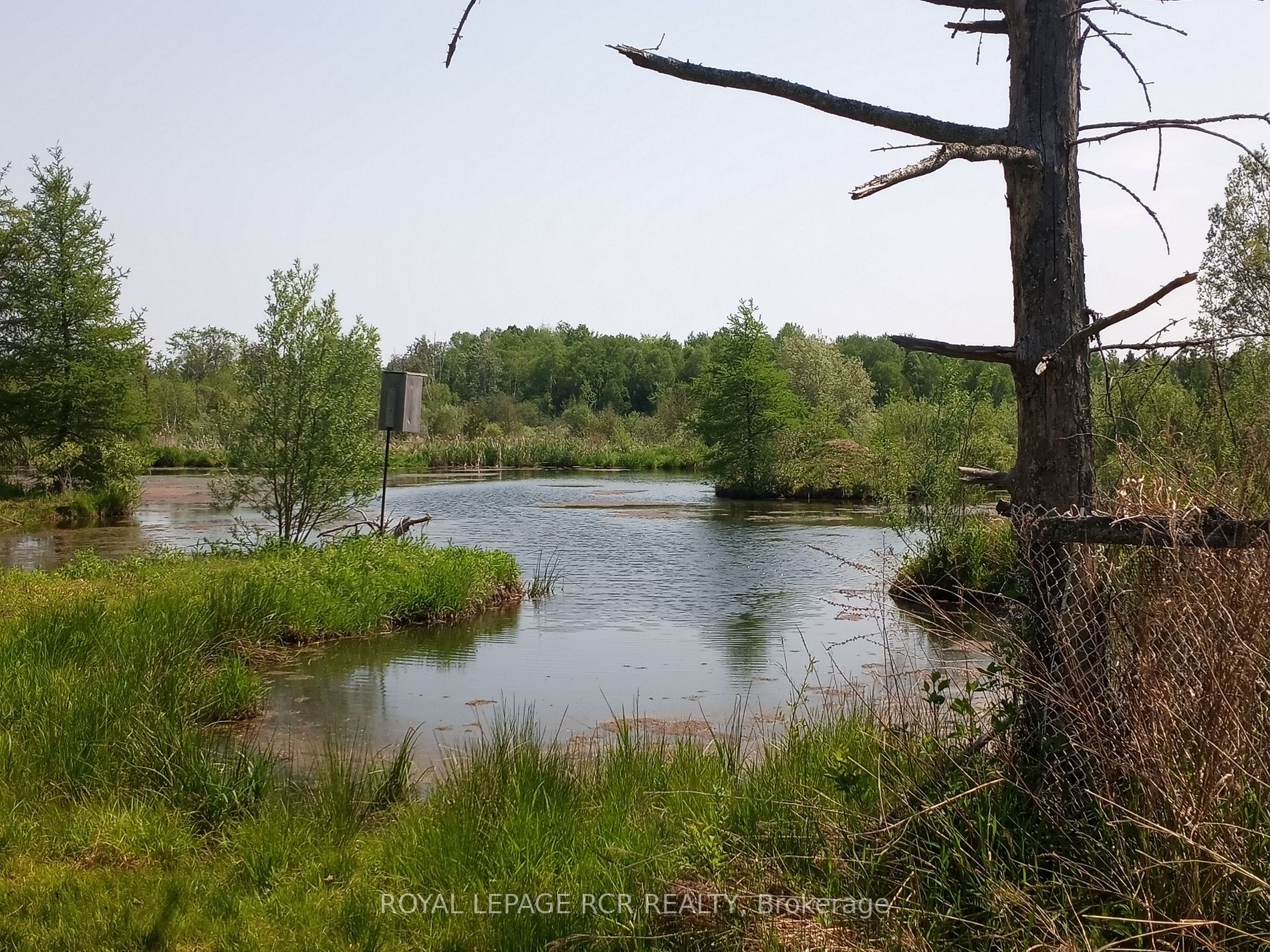Listing X6090224 - Large Photo # 3