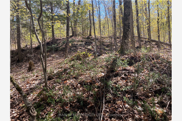 000 Blanchards Rd, Kawartha Lakes