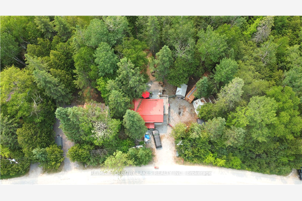 83 Mcguire Beach Rd, Kawartha Lakes