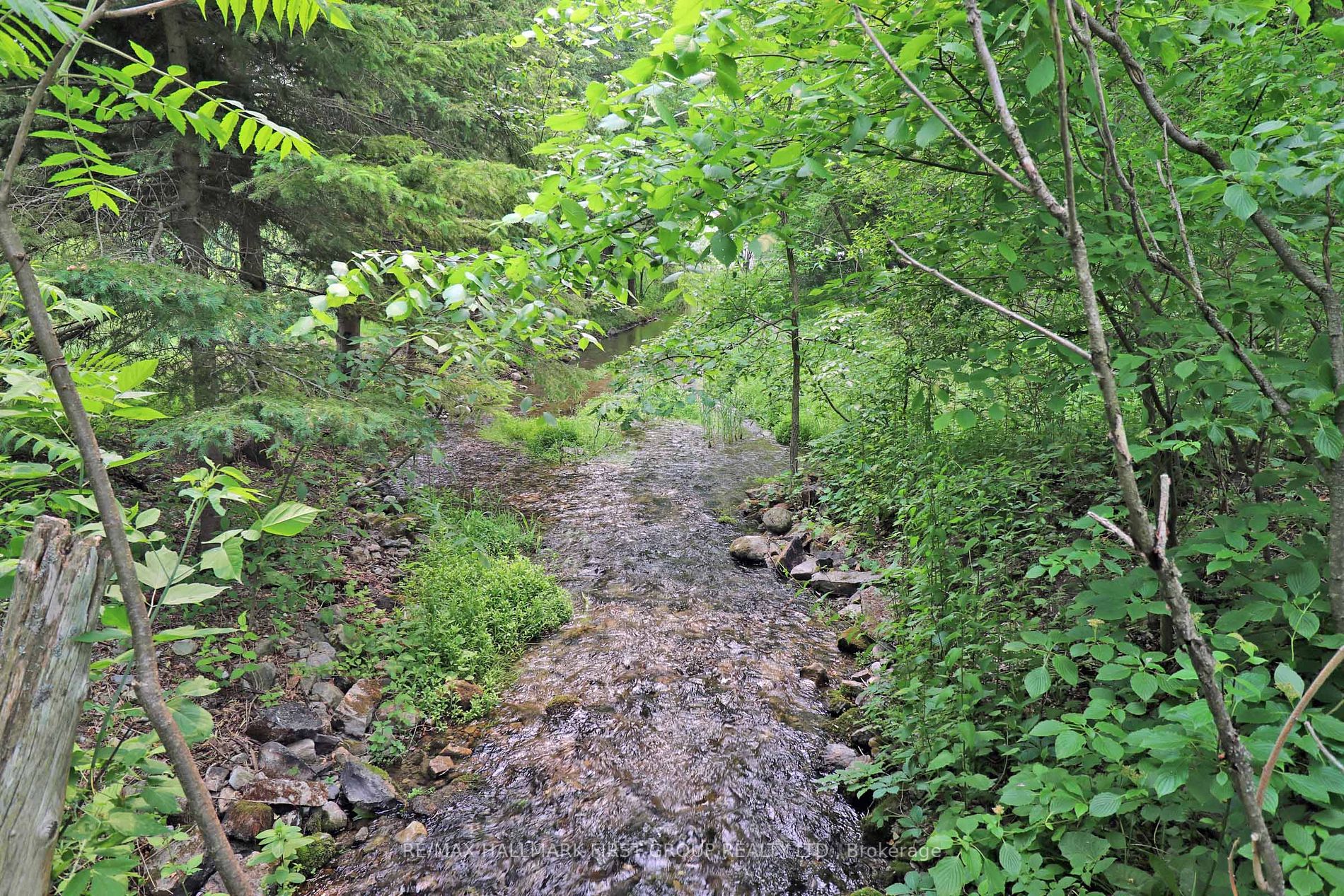 644 Napanee Rd
