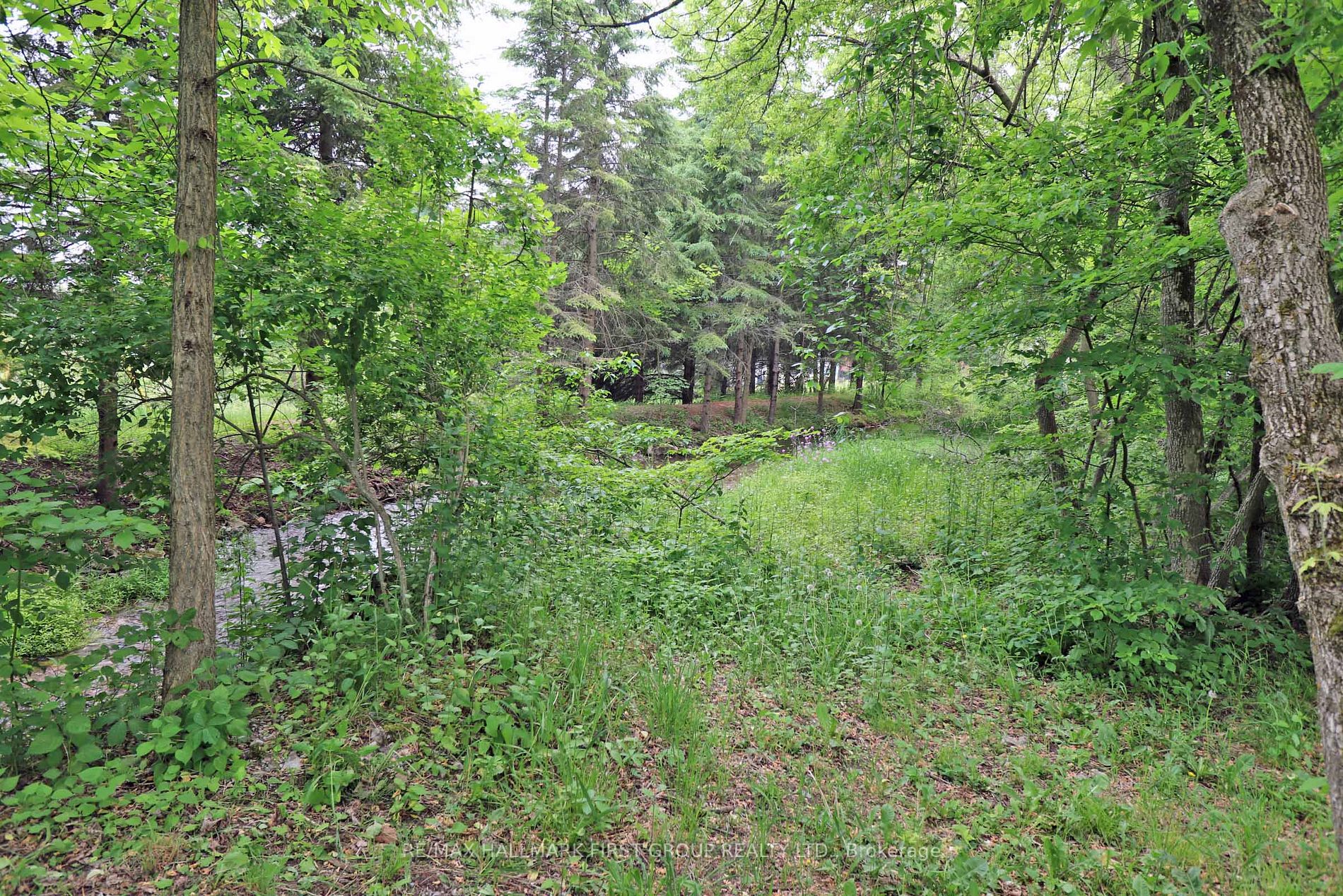 644 Napanee Rd