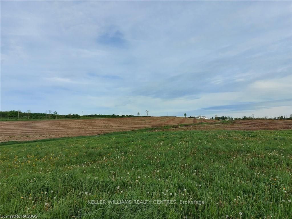 Listing X6106044 - Large Photo # 12