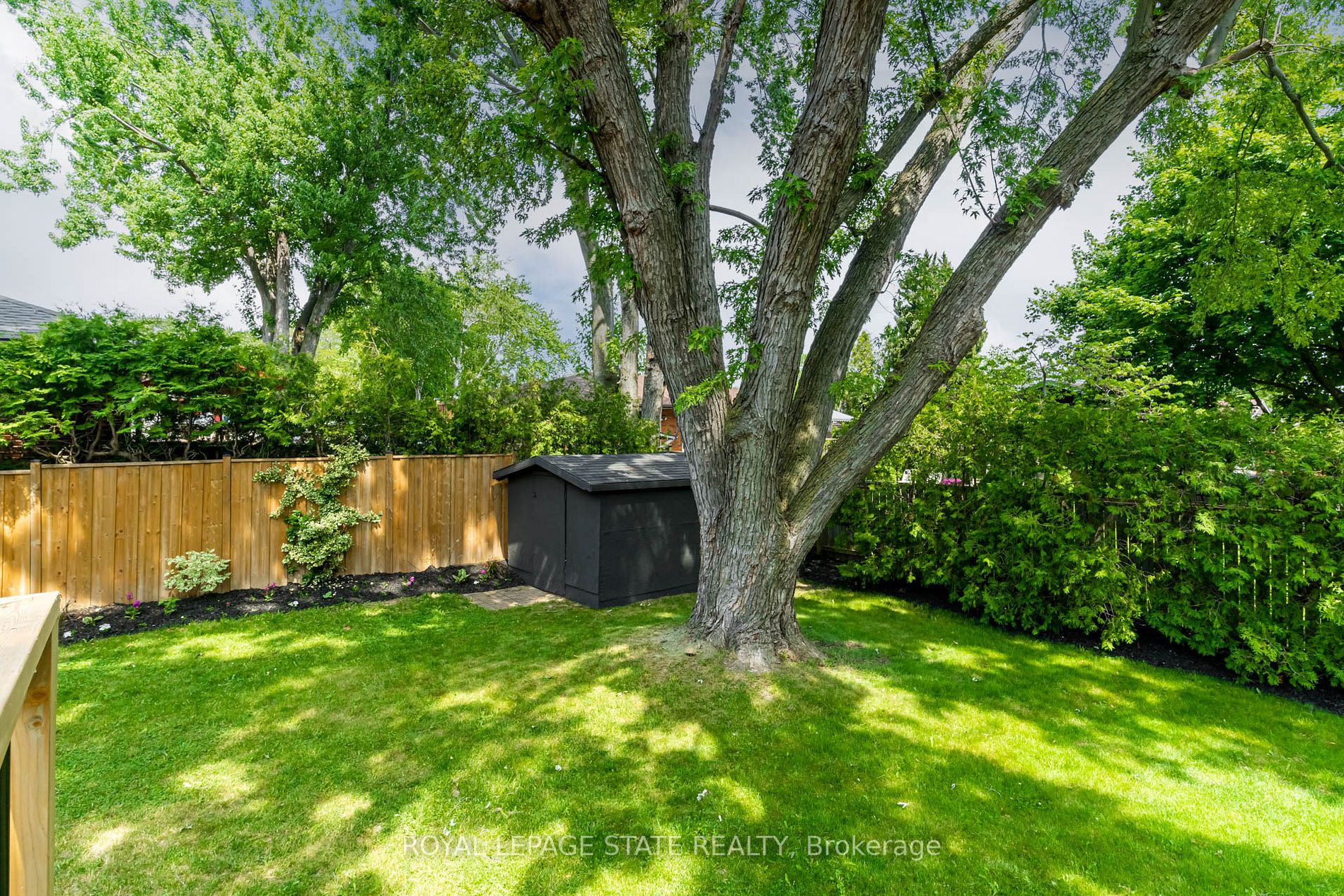 5 Gemma Crt