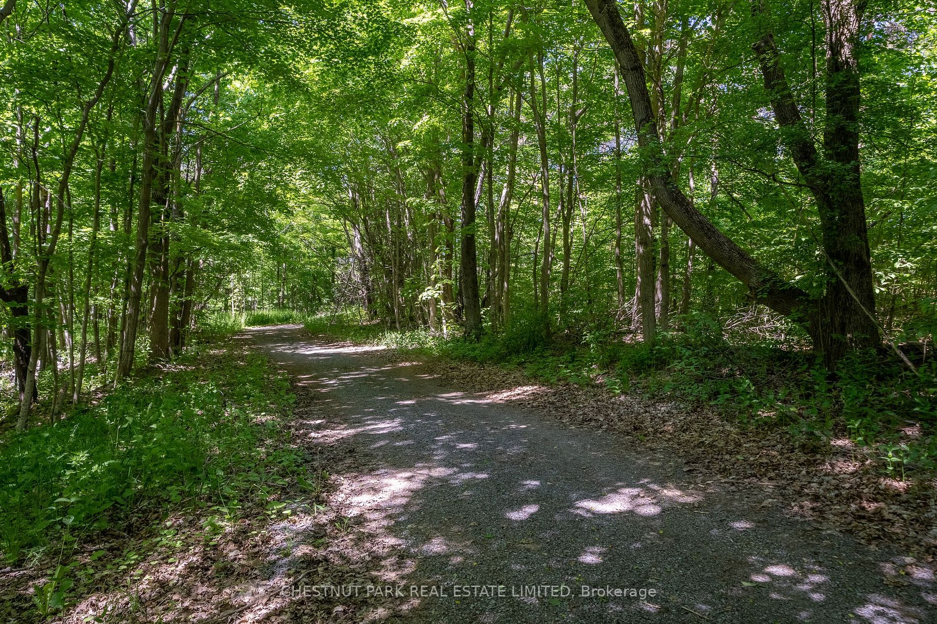 0 Dorenburg Lane