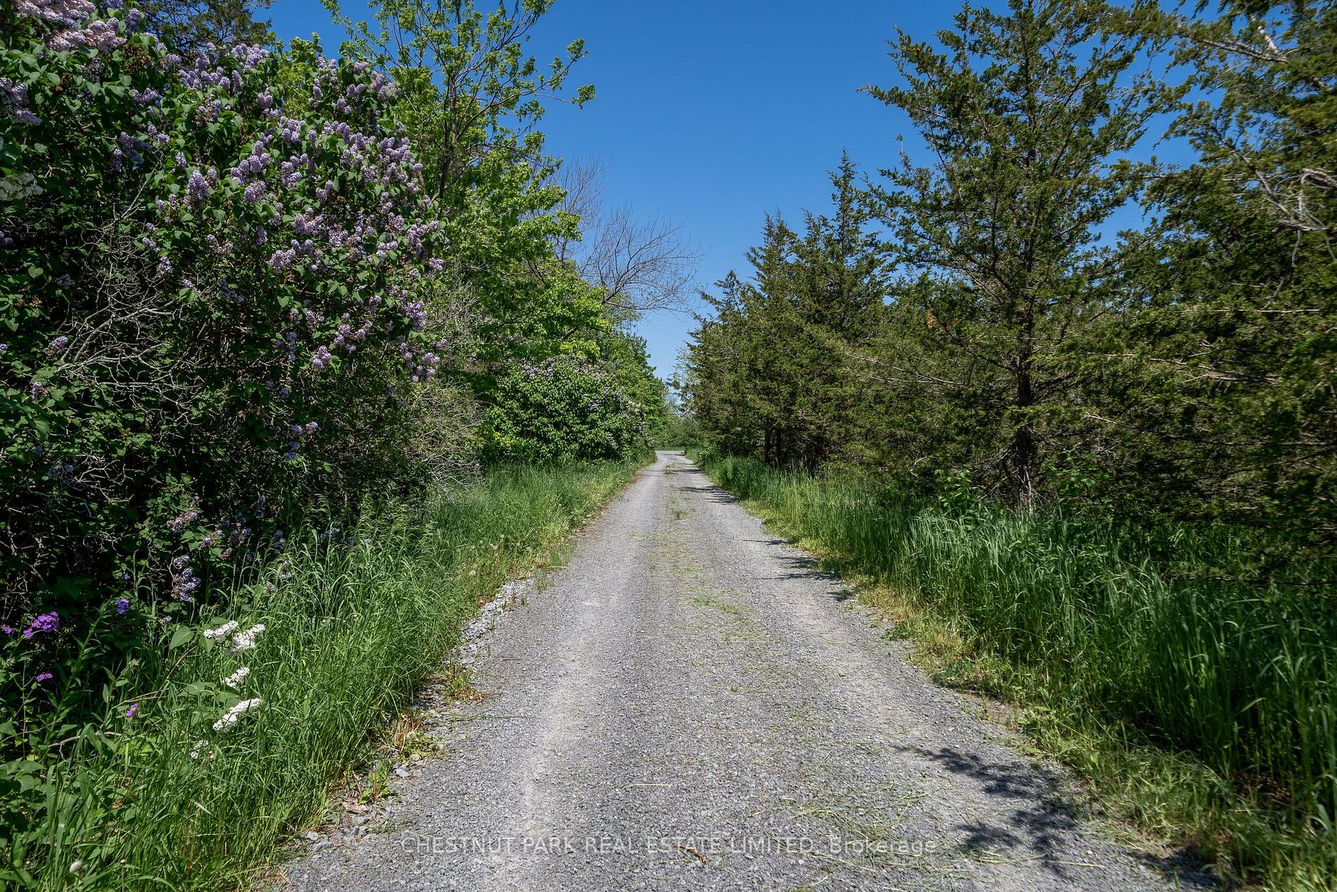 0 Dorenburg Lane