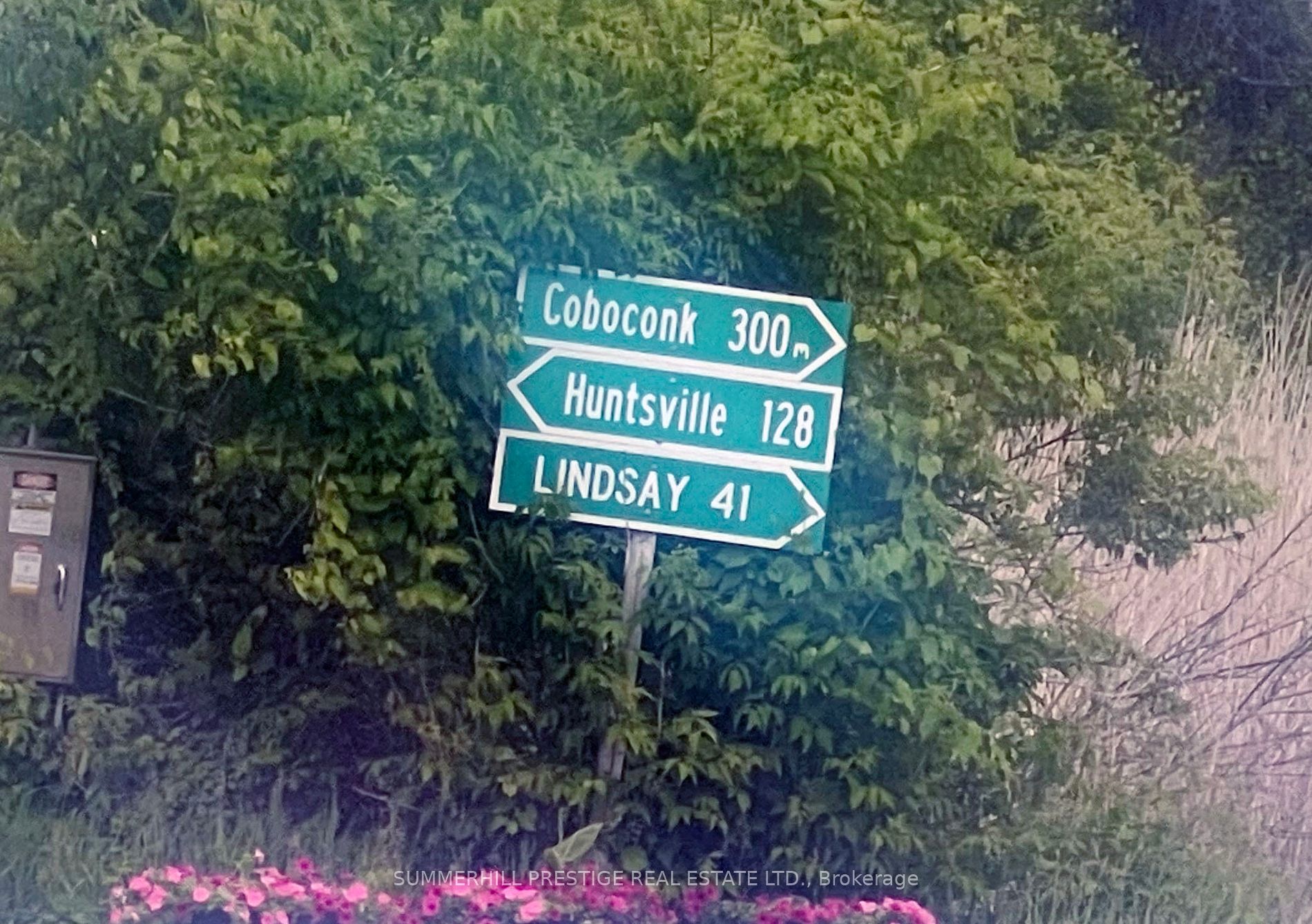 2919 County Road 48