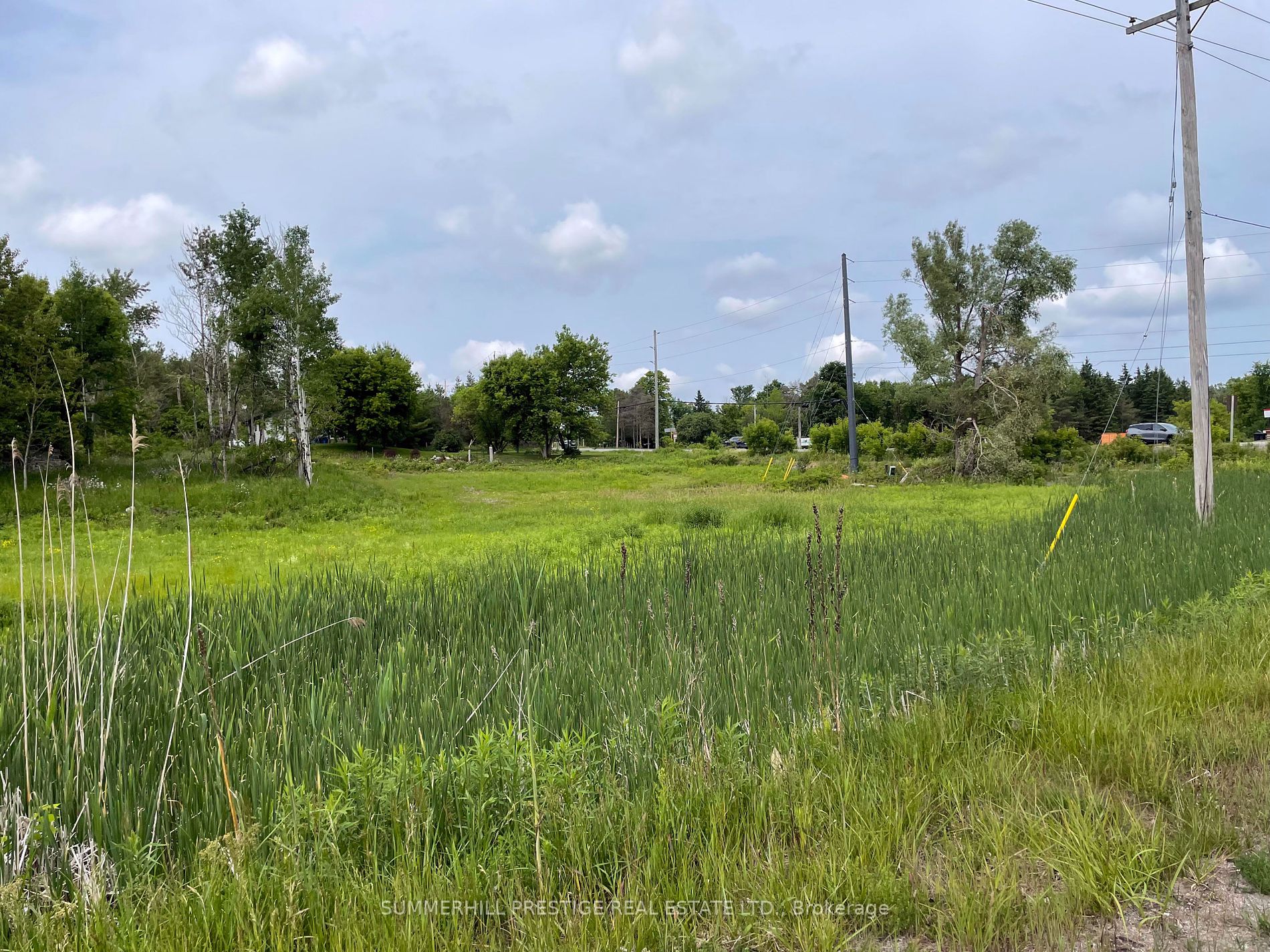 2919 County Road 48