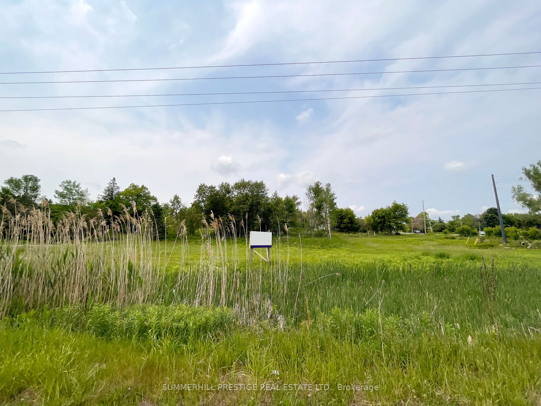 2919 County Road 48