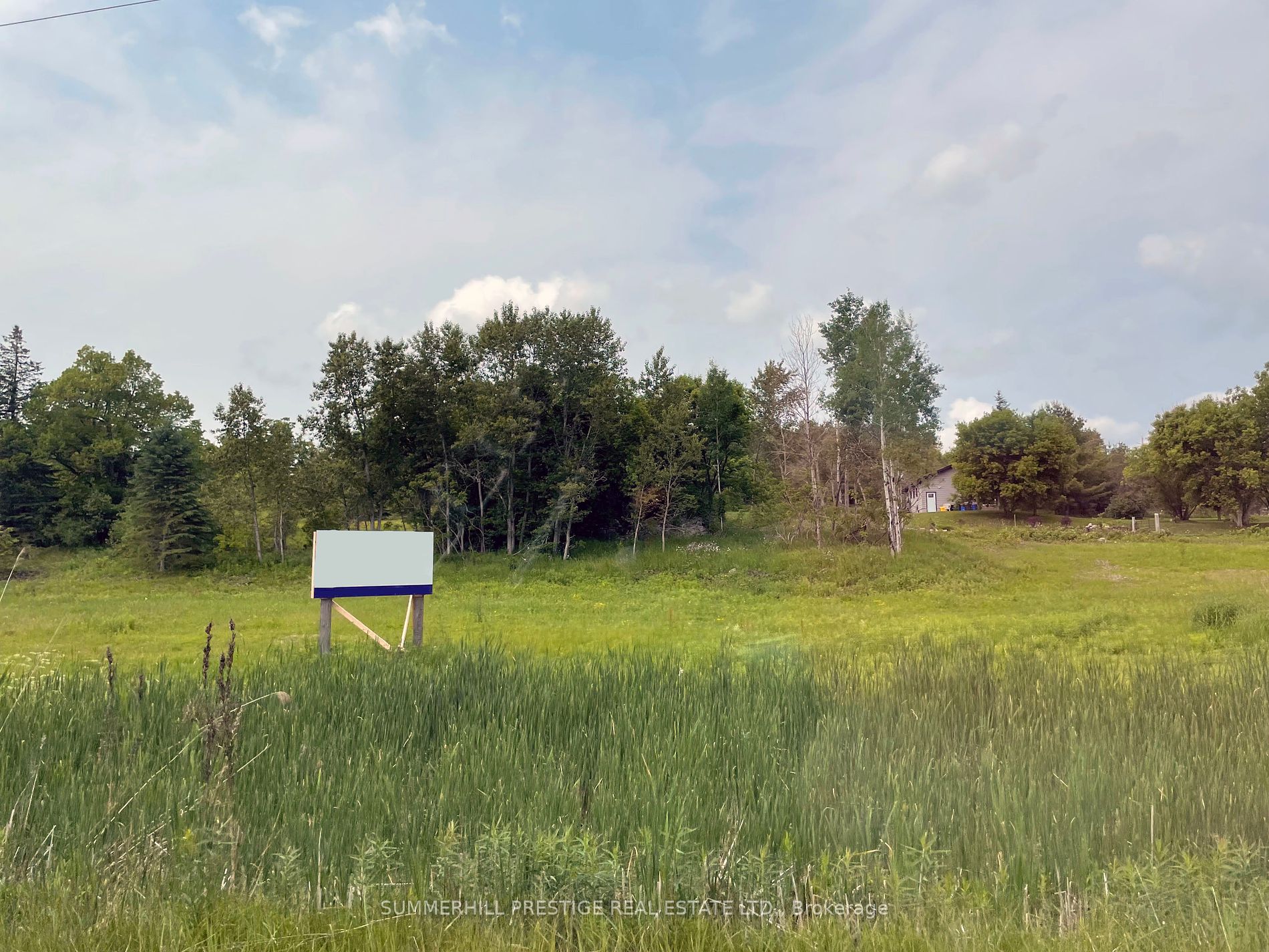 2919 County Road 48