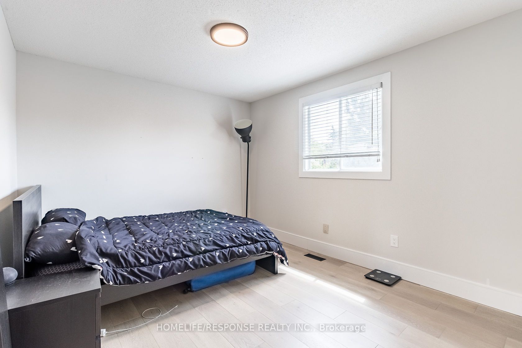 117 Norma Cres