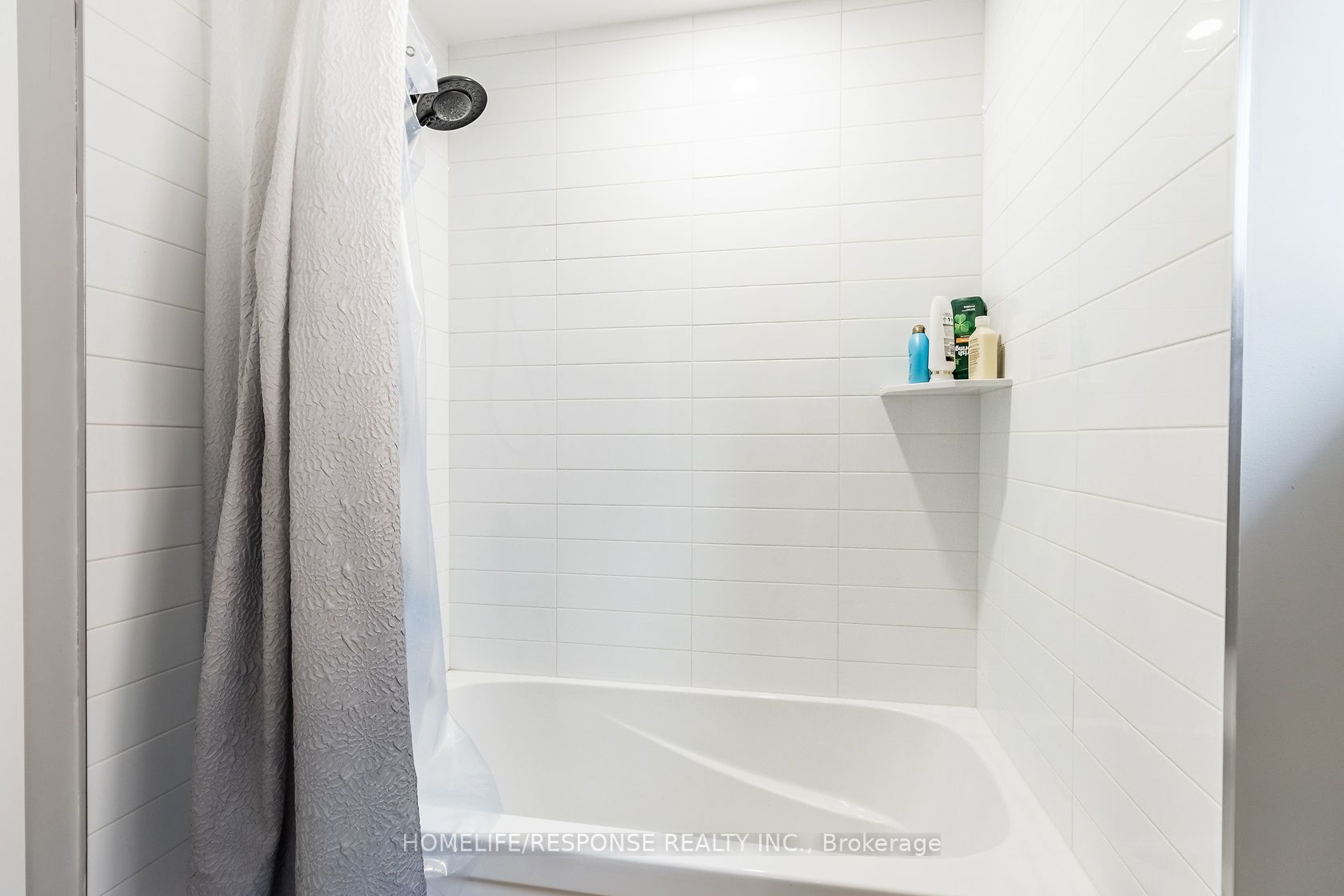 117 Norma Cres