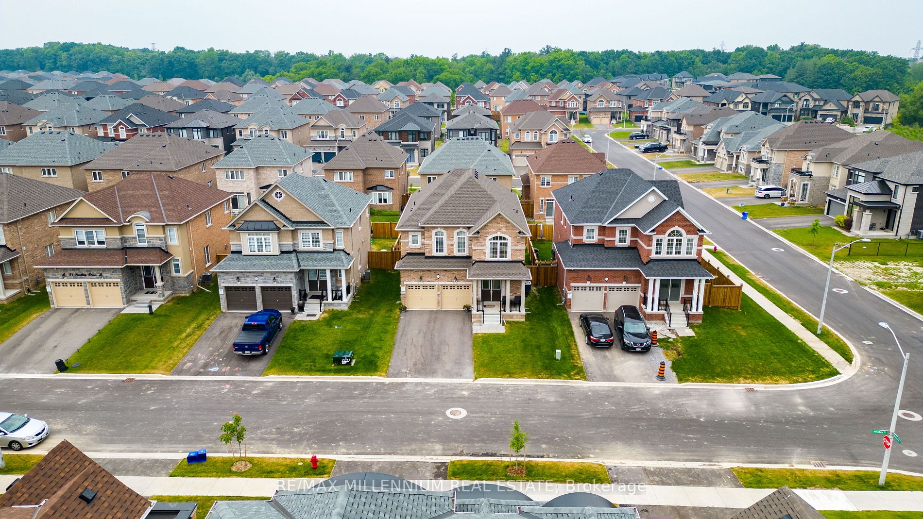 59 Findlay Dr