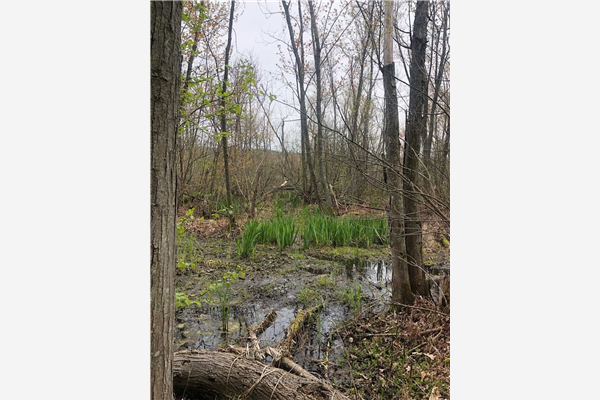0 Trentside Lane, Quinte West