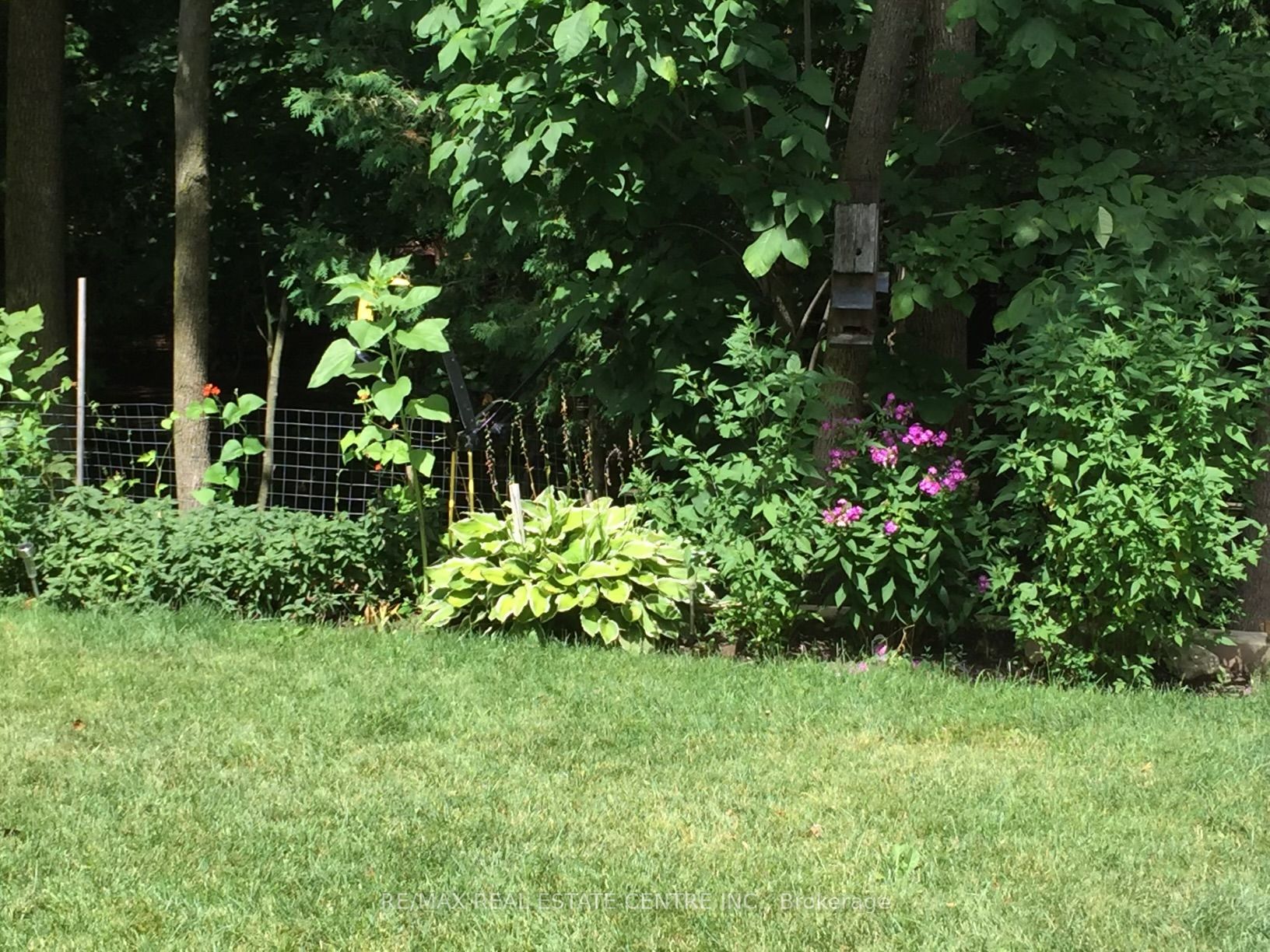 Listing X6205012 - Large Photo # 33