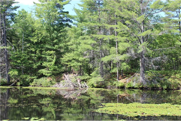 Undisclosed Address, Kawartha Lakes