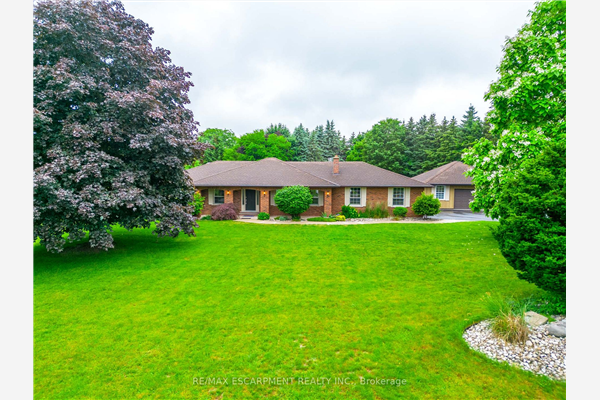 5 Ellen St, Hamilton