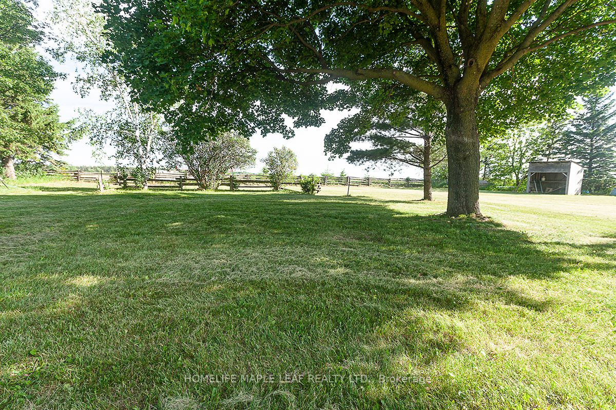 247066 Side Rd 5 Side Road