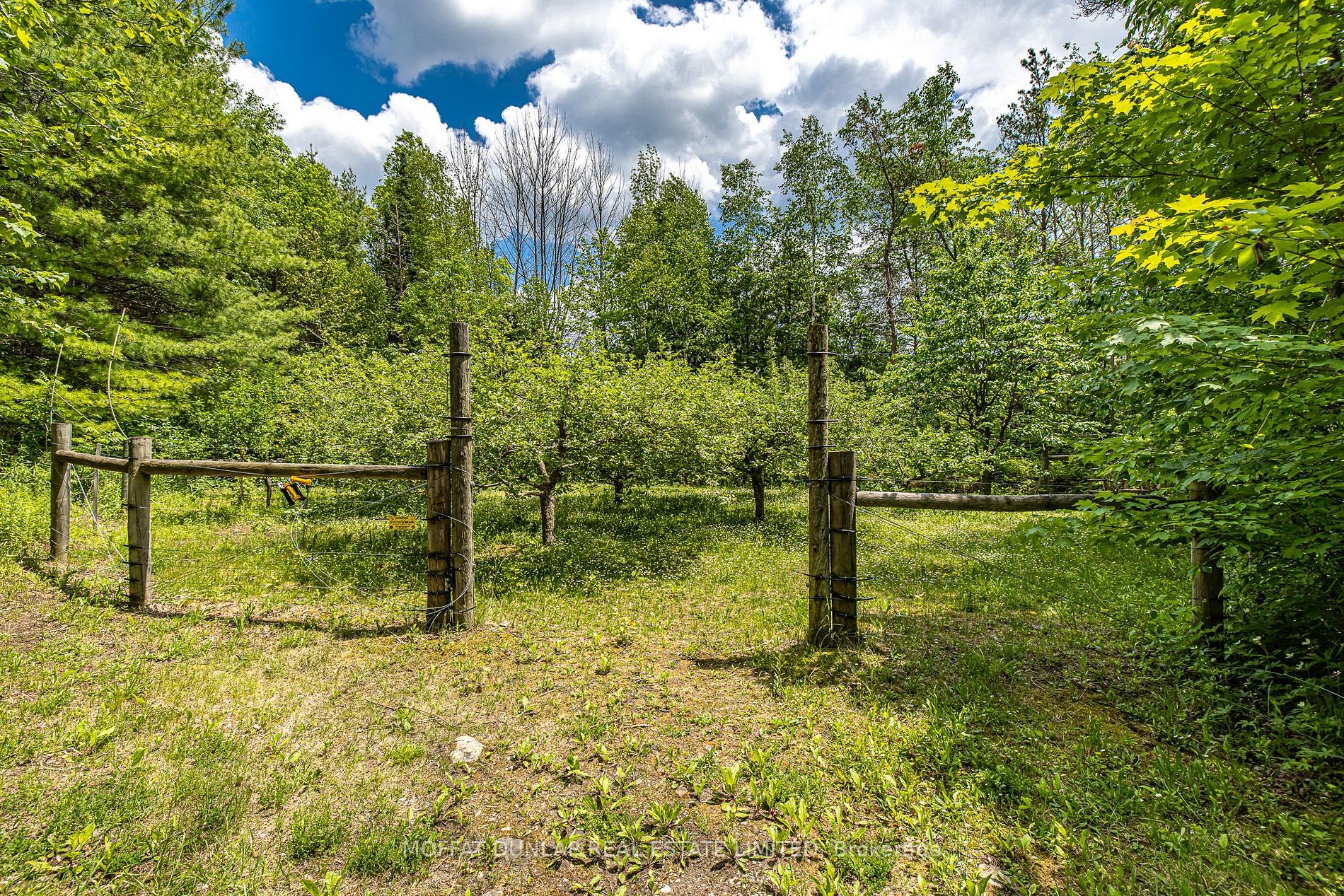 794071 3rd Line