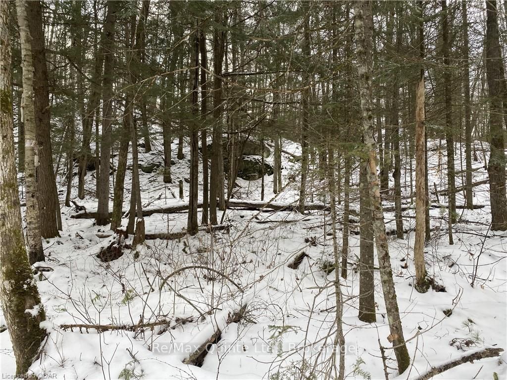 Listing X6566305 - Large Photo # 1