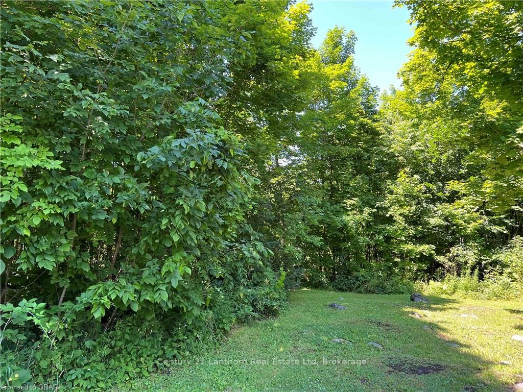 Listing X6566768 - Large Photo # 3