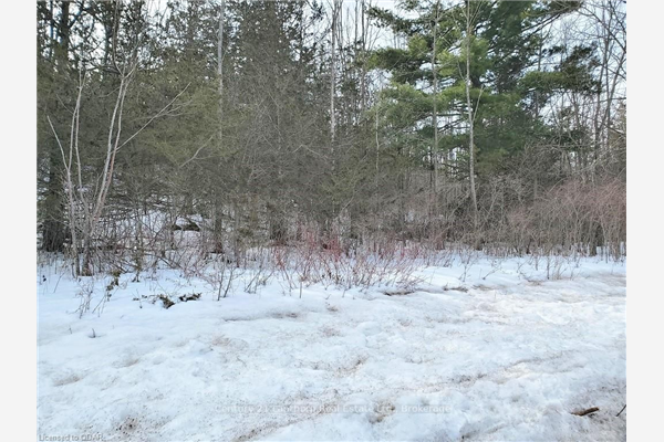 0 Devils Valley Rd, Trent Hills