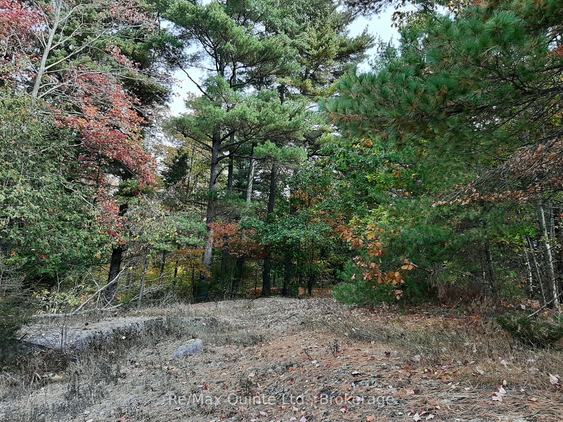 0 BRIDGEWATER Road