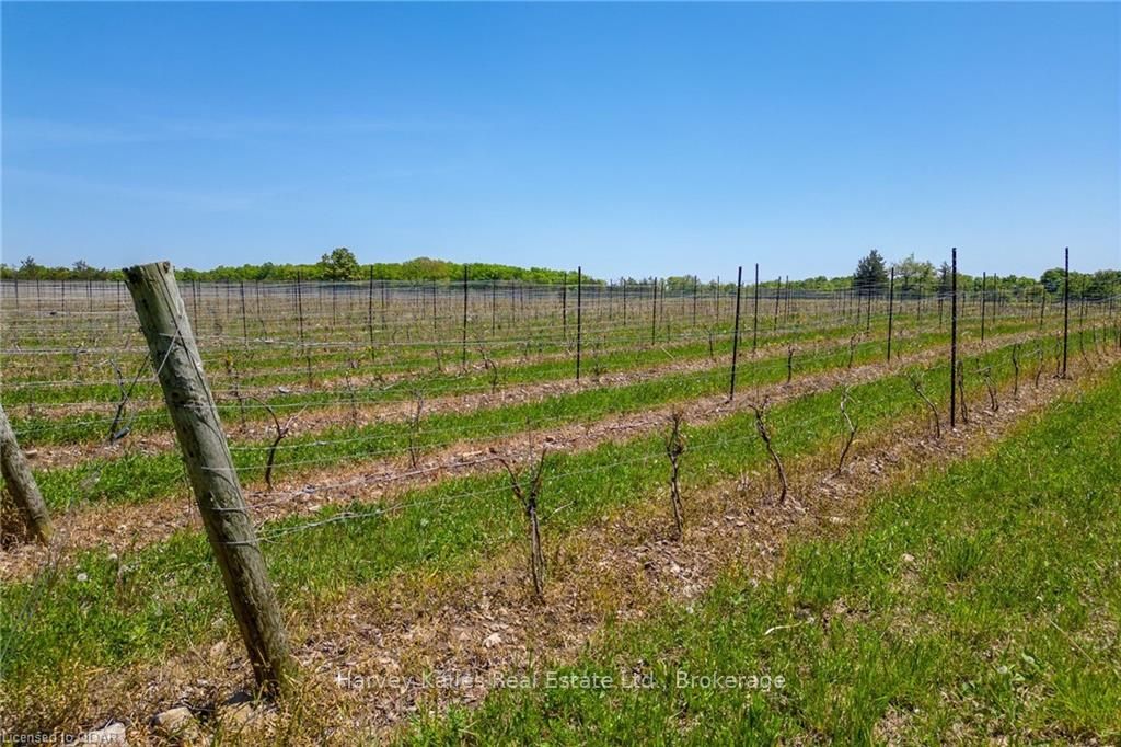 419 COUNTY RD 25 Road