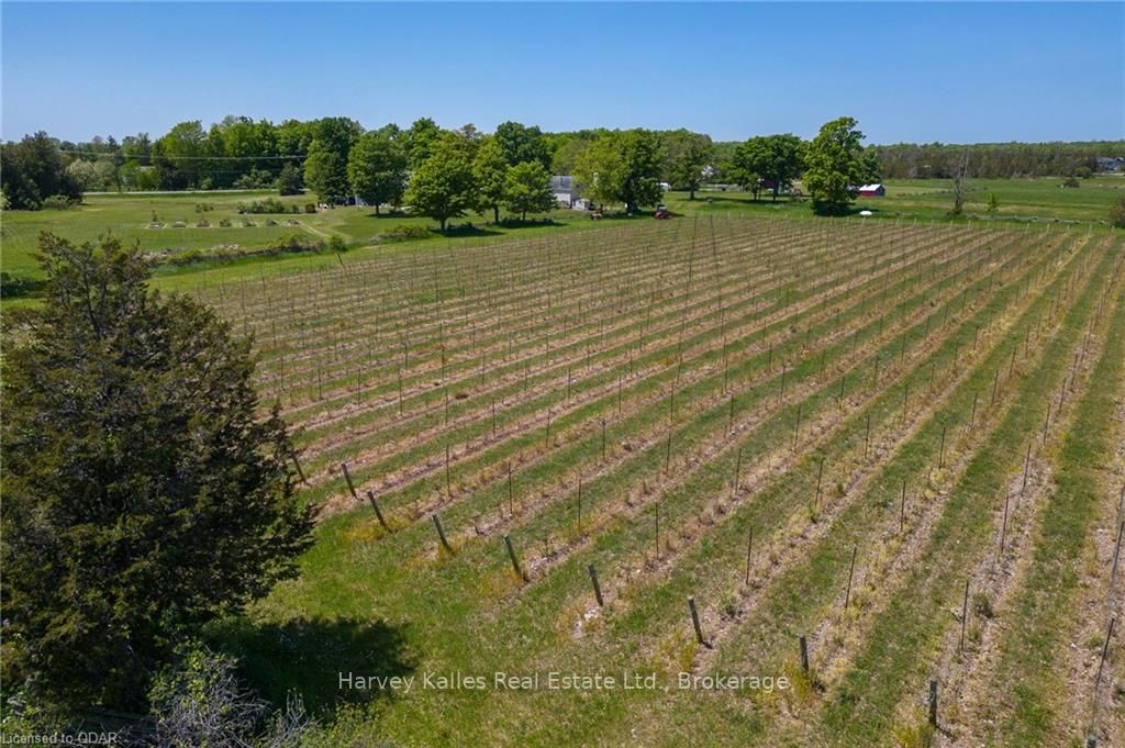 419 COUNTY RD 25 Road