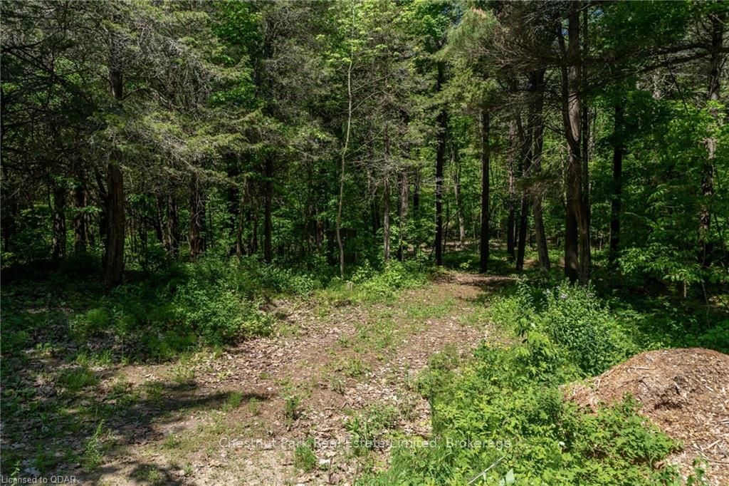 0 Dorenburg Lane