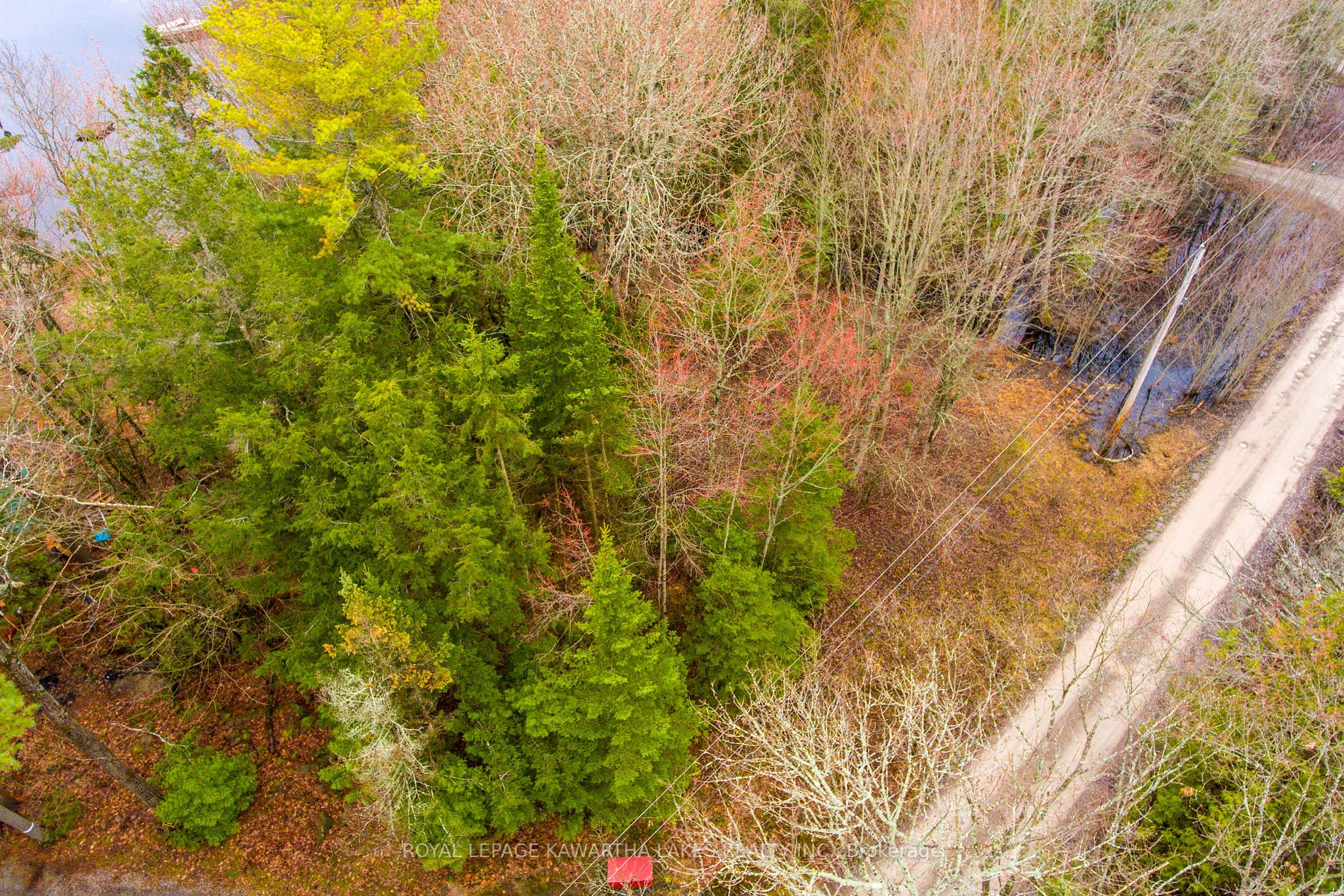 Listing X6626344 - Large Photo # 14