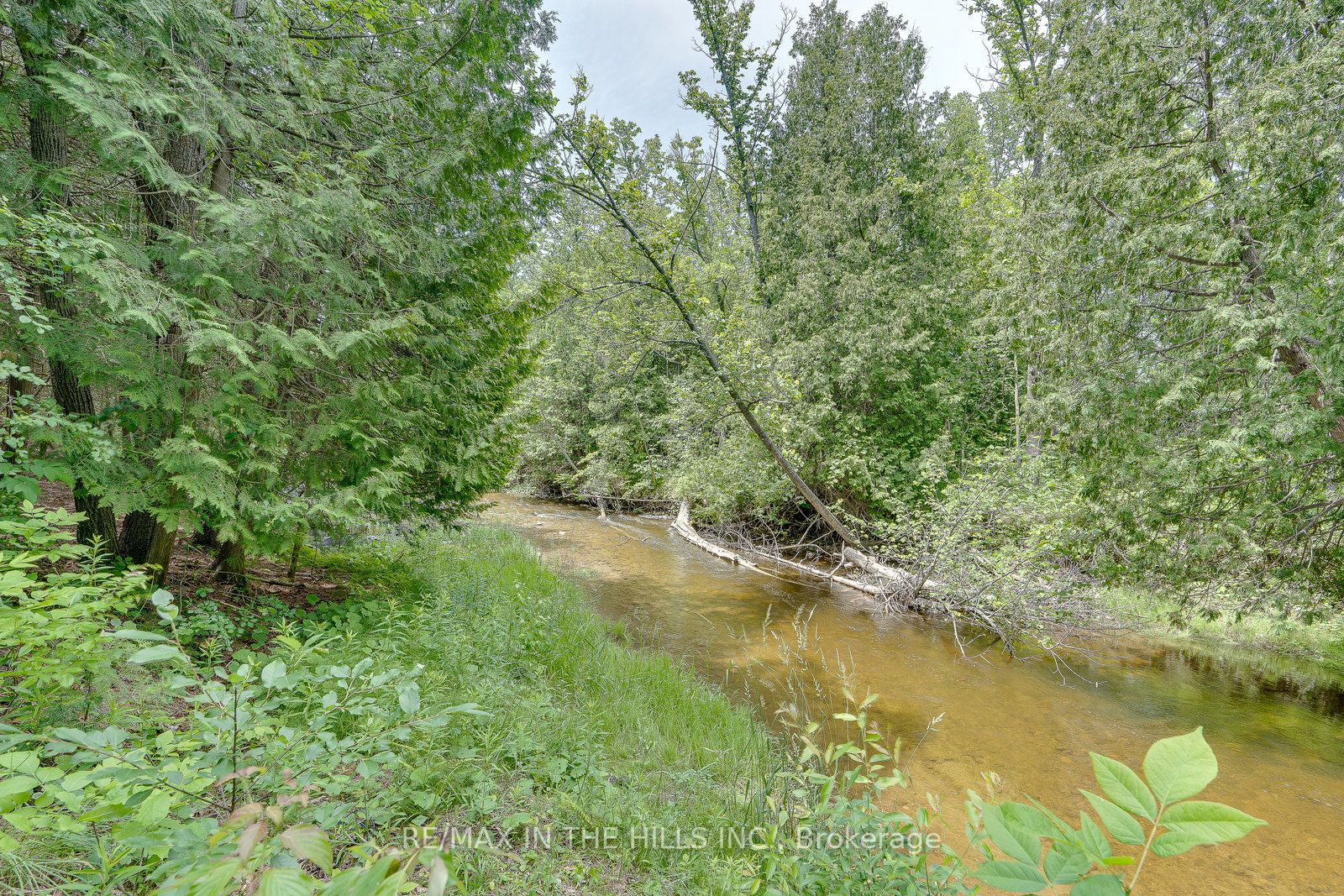 308341 Hockley Road