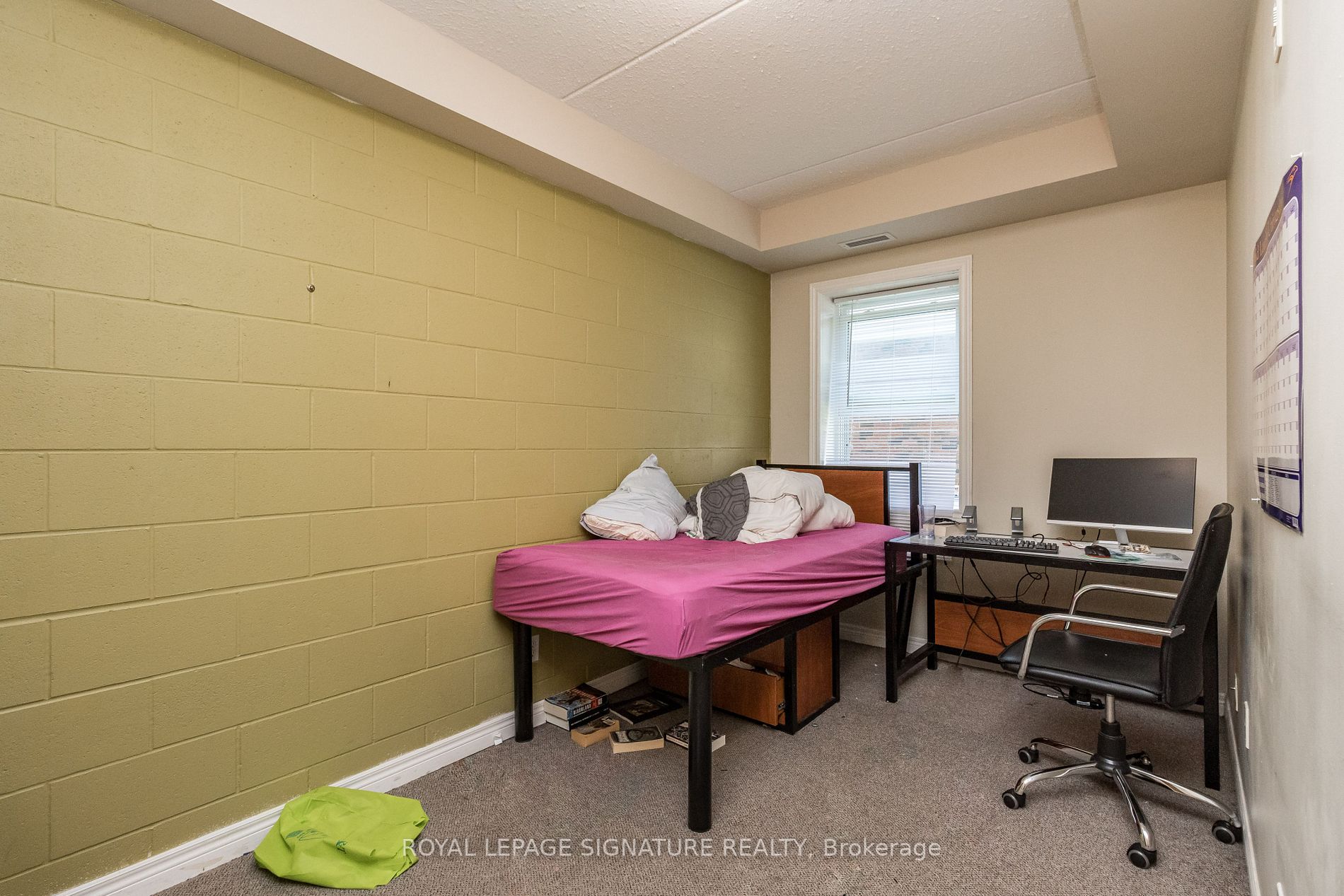 253 Lester Street, #101