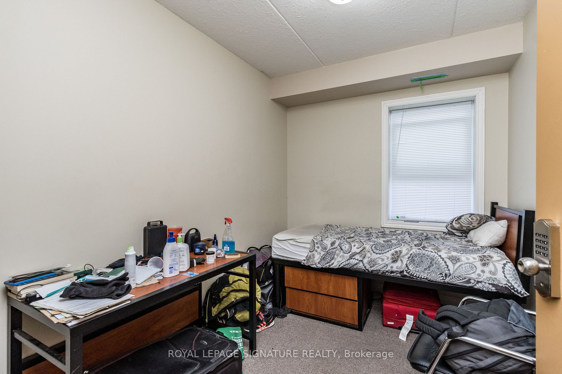 253 Lester Street, #101