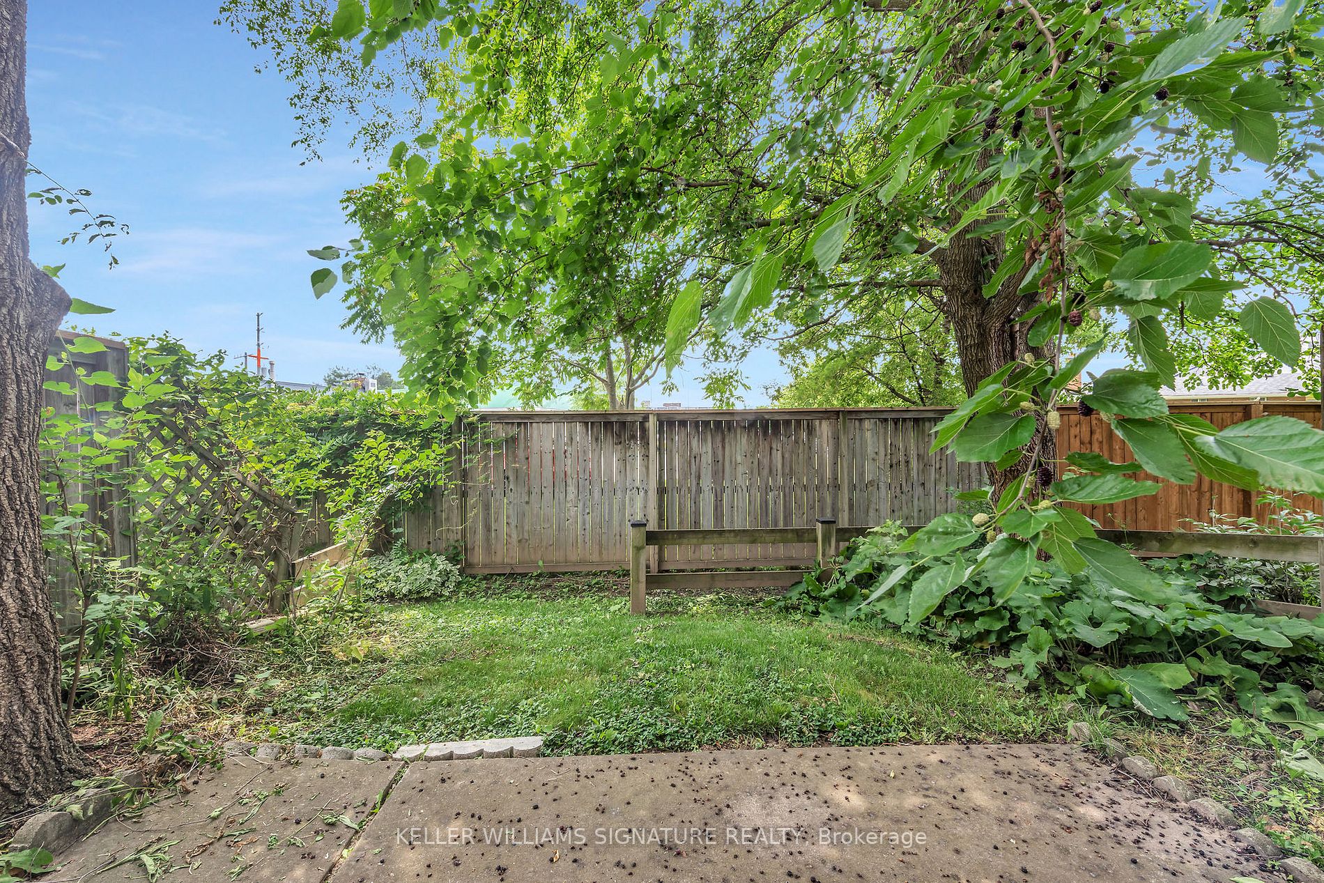 409 Vine St, #3