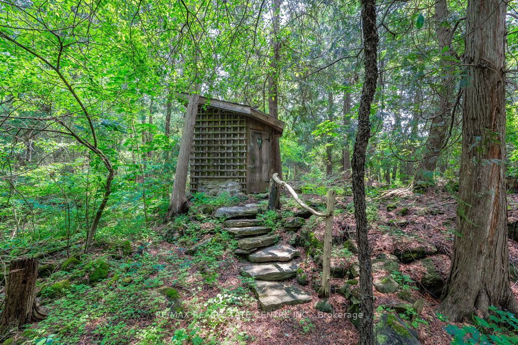 15 River Bluff Path