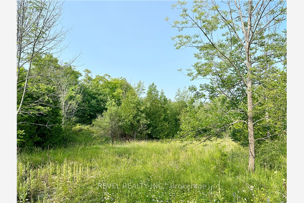 0 Dunbar Dr, Kawartha Lakes