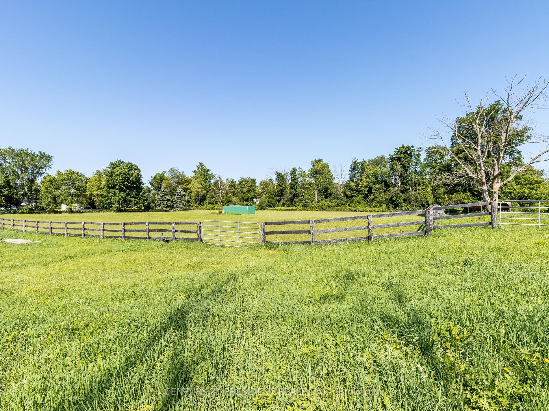 9612 Wellington  42 Road