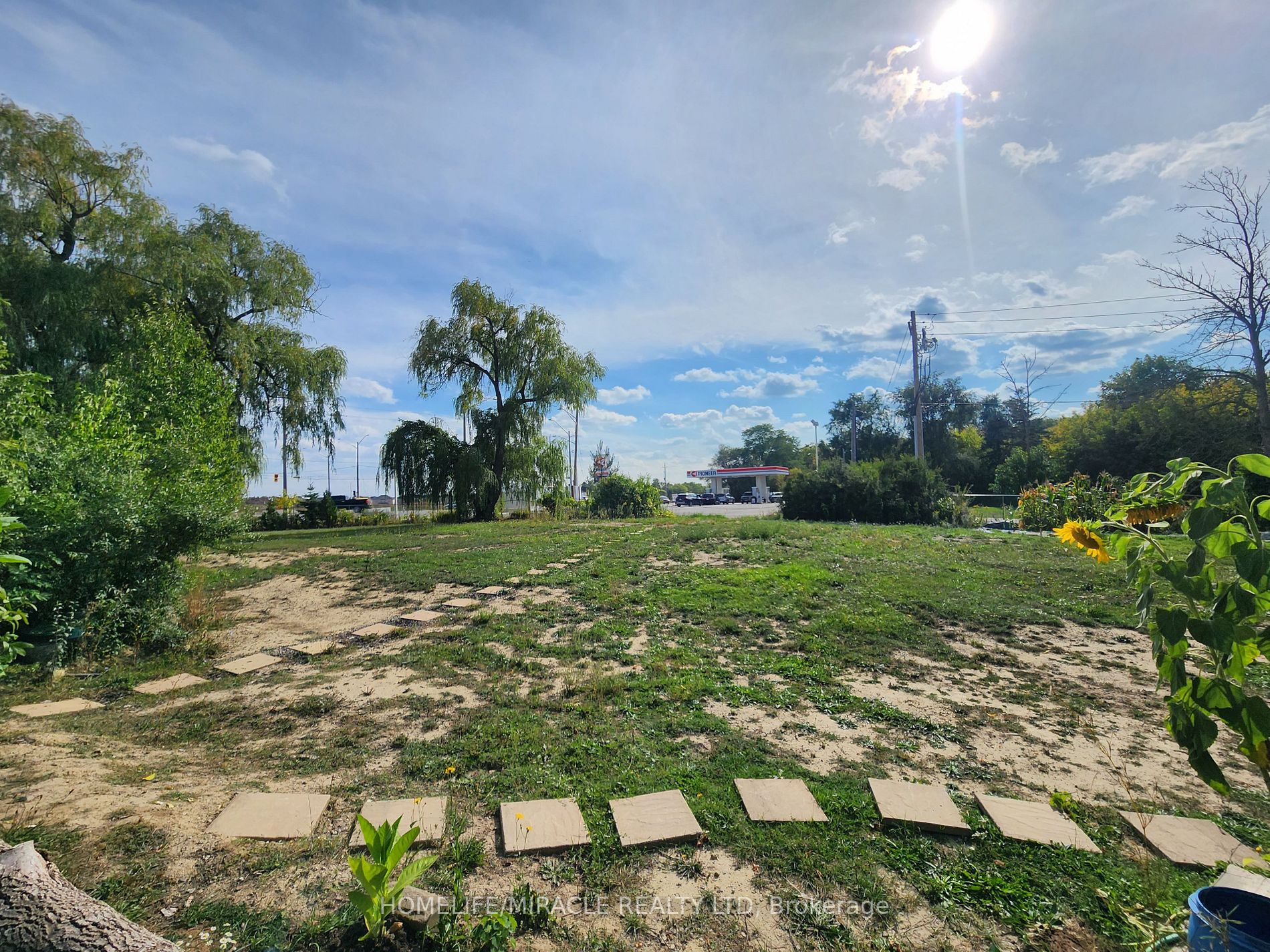559 Dundas St E