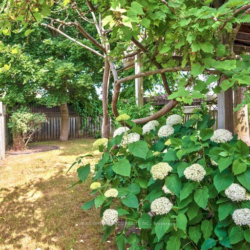 Listing X6650906 - Large Photo # 20