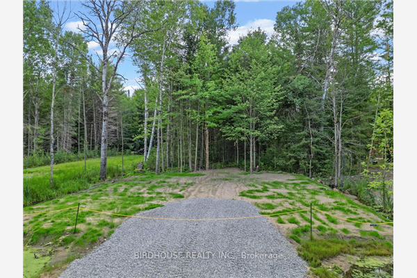 Lt 6 Crego St, Kawartha Lakes
