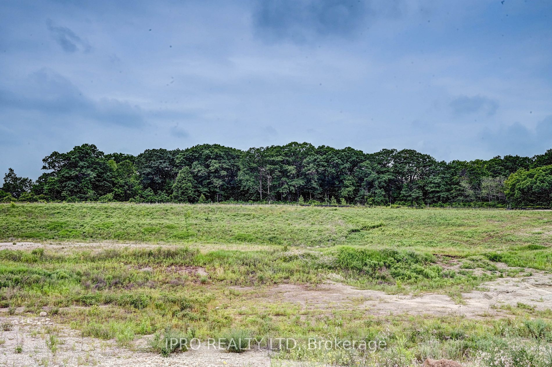 Listing X6654478 - Large Photo # 35