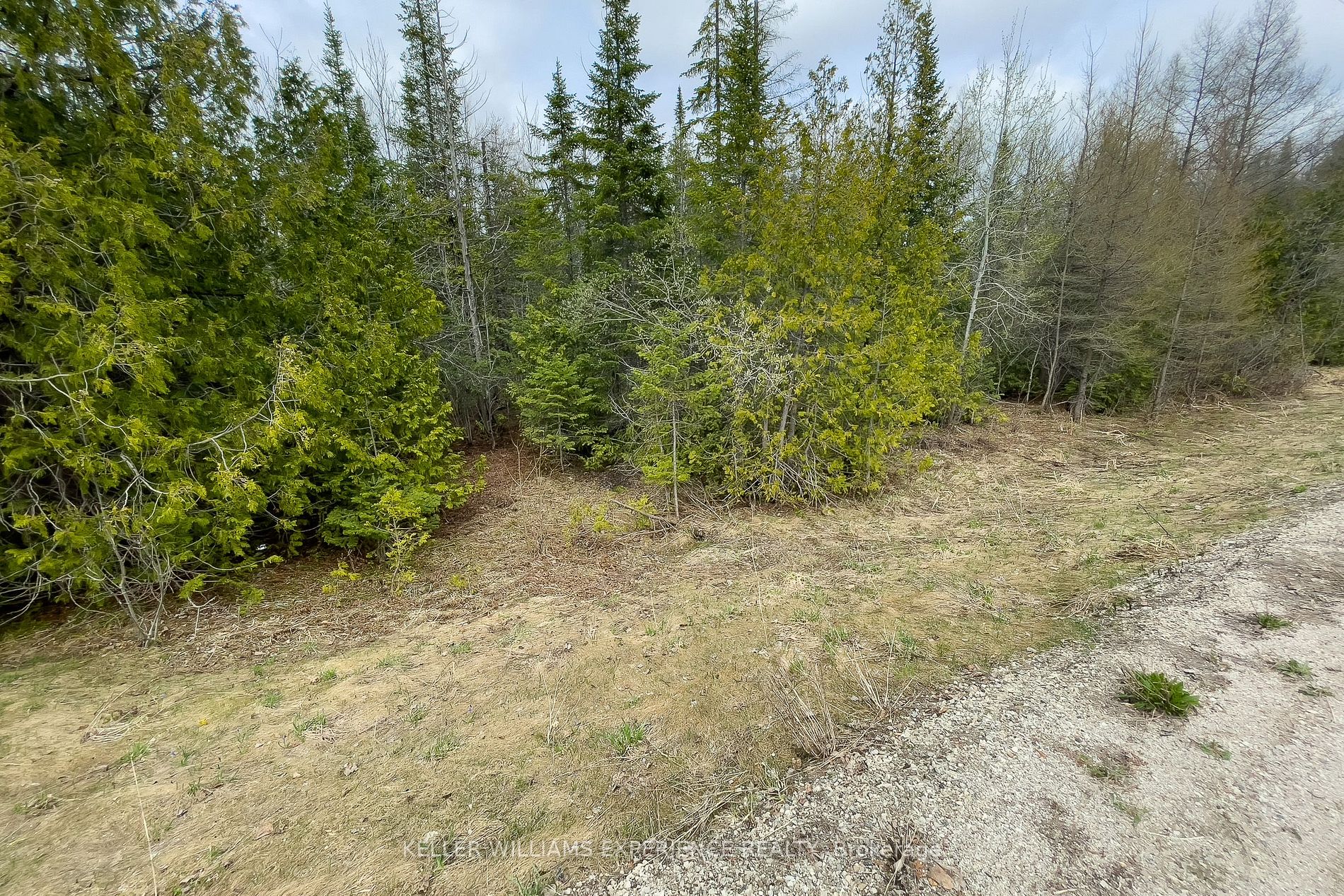 Listing X6662448 - Large Photo # 33